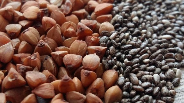 Choosing the Ultimate Plant-Powered Hair Repair Proteins: A Guide to Revitalize Your Locks